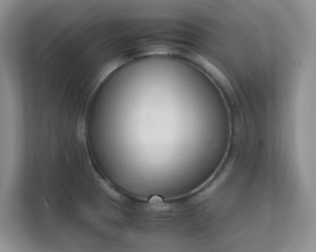 X0000111601329200907301439