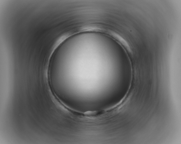 X0000111601330200907301439
