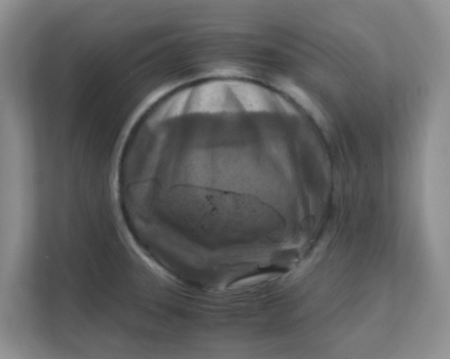X0000111601331200907301439