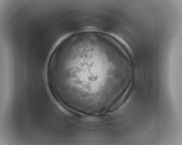 X0000111601333200907301439