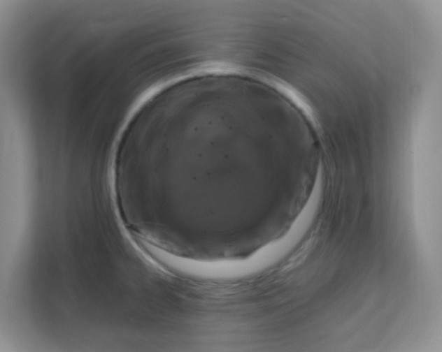 X0000111601334200907301439