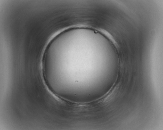 X0000111601335200907301439