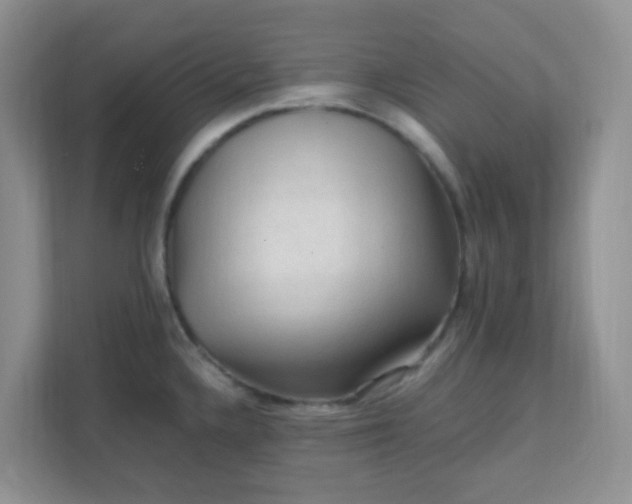 X0000111601336200907301439