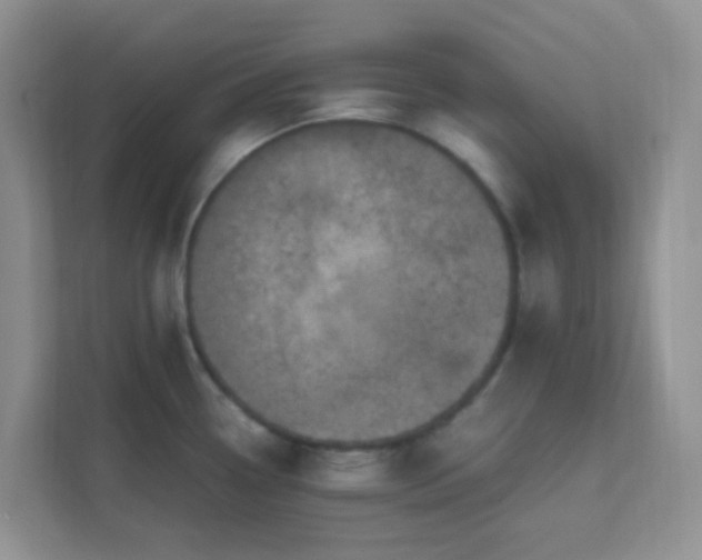 X0000111601338200907301439