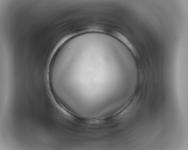 X0000111601339200907301439