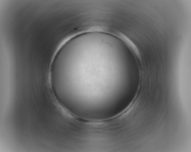 X0000111601340200907301439
