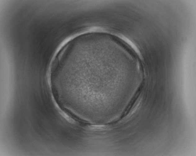 X0000111601342200907301439
