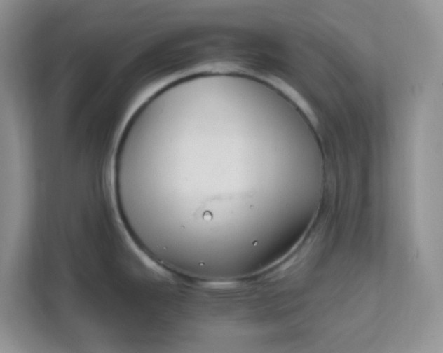 X0000111601343200907301439