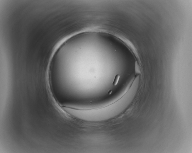 X0000111601344200907301439