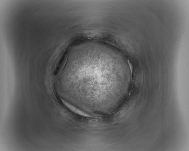 X0000111601345200907301438