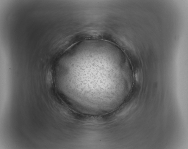 X0000111601347200907301438