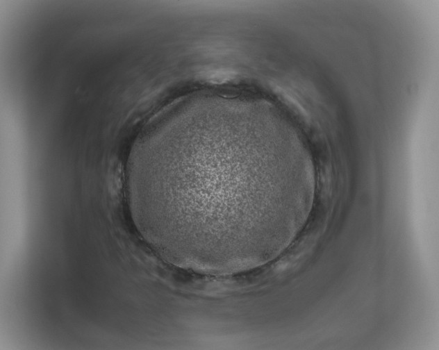X0000111601349200907301438
