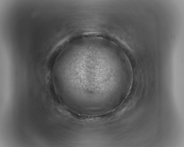 X0000111601351200907301438