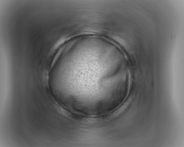 X0000111601355200907301438