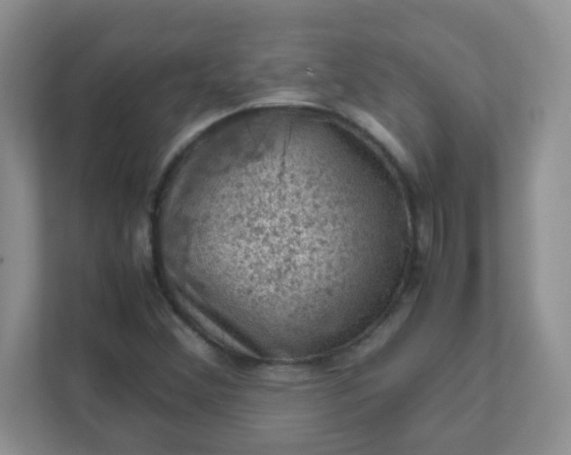 X0000111601356200907301438