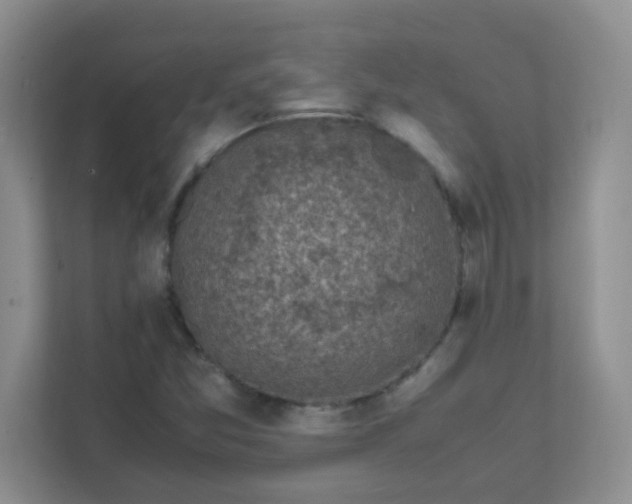 X0000111601357200907301438