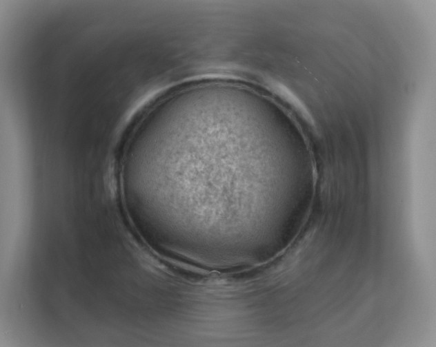 X0000111601360200907301438