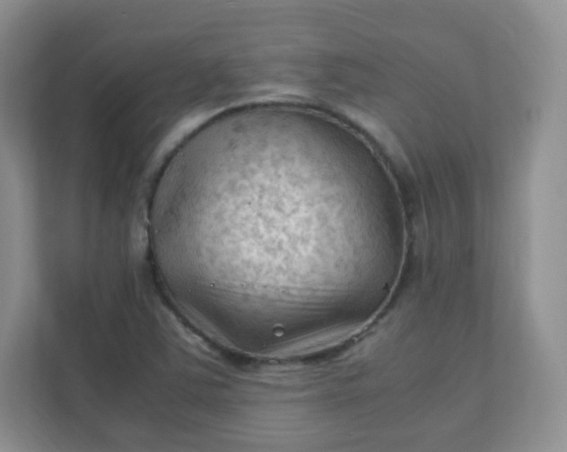 X0000111601363200907301438