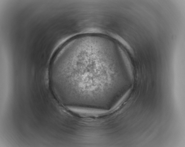 X0000111601364200907301438