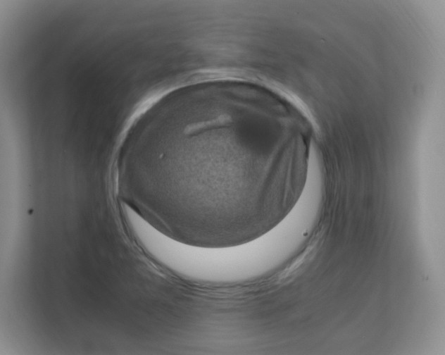X0000111601365200907301438