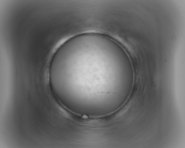 X0000111601367200907301438