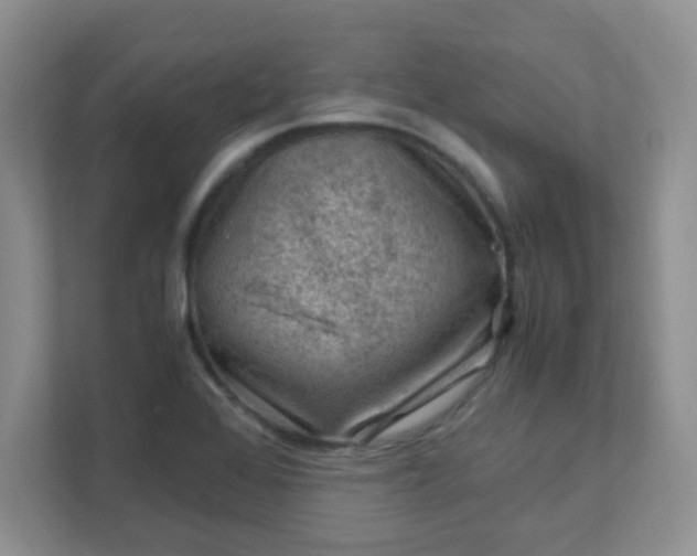 X0000111601368200907301438