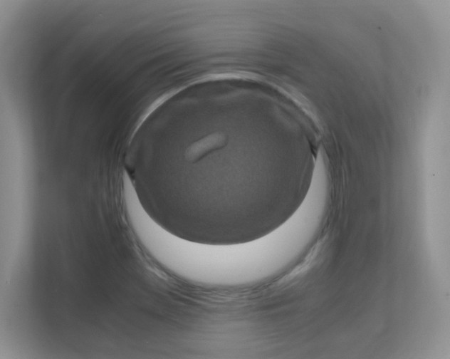 X0000111601369200907301438