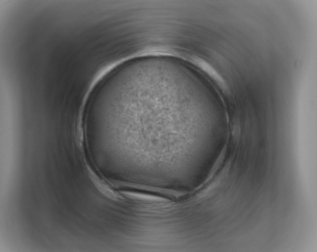 X0000111601372200907301438
