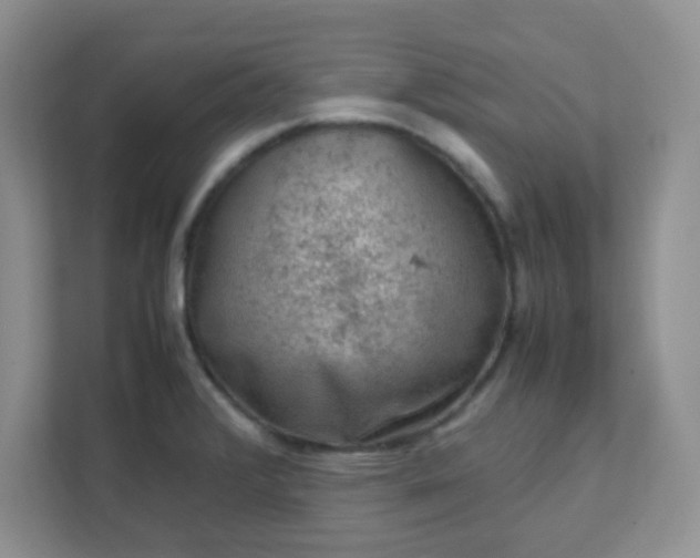 X0000111601376200907301438