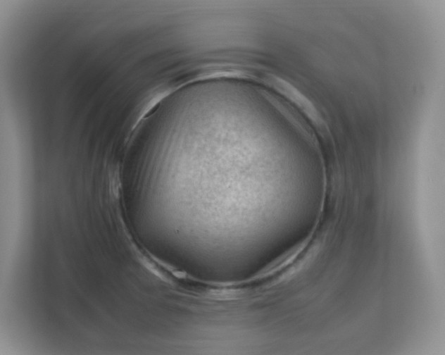 X0000111601377200907301438