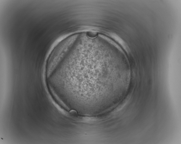 X0000111601379200907301438