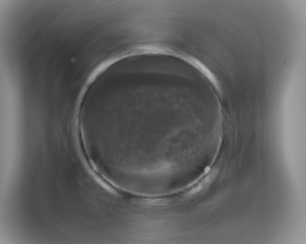 X0000111601381200907301438