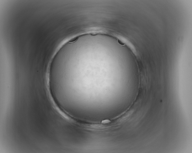 X0000111601383200907301438