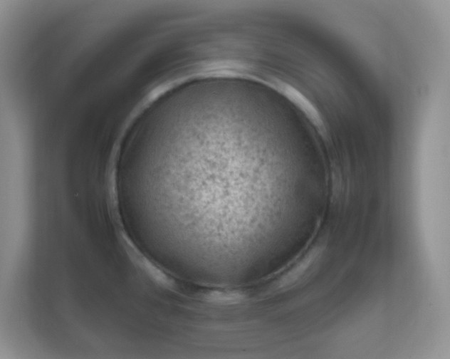 X0000111601384200907301438