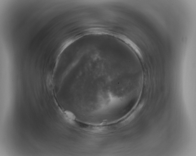 X0000111601385200907301438
