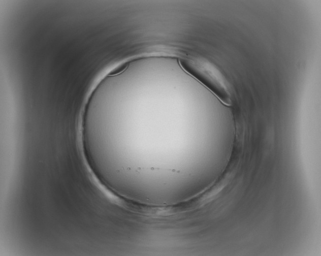 X0000111601387200907301438