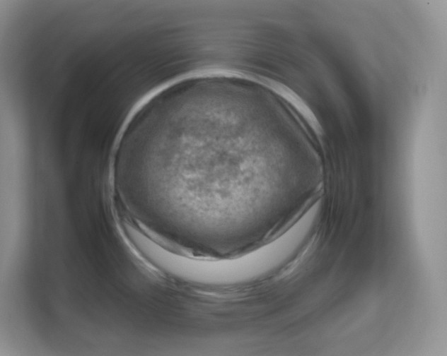 X0000111601388200907301438
