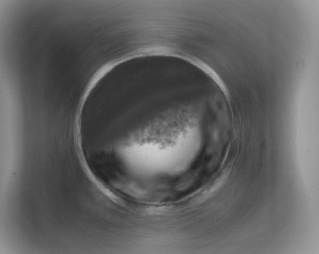 X0000111601389200907301438