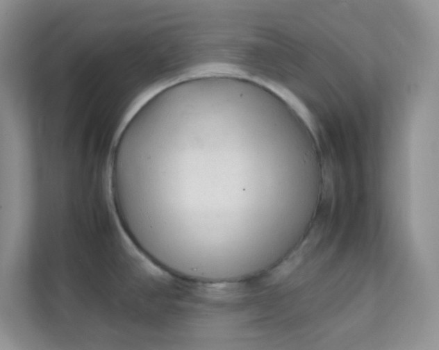 X0000111601390200907301438