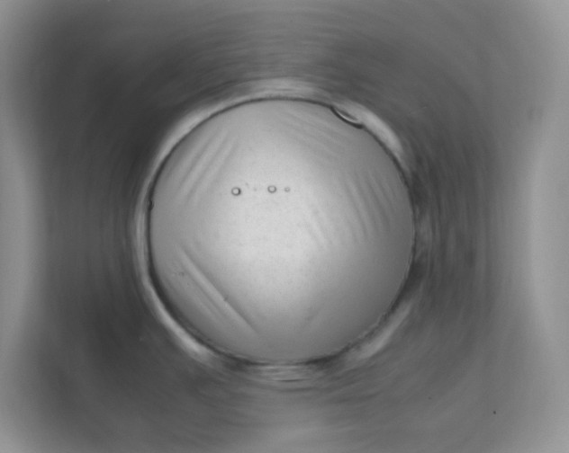 X0000111601391200907301438