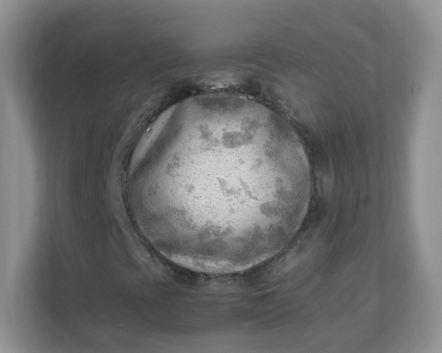 X0000111601393200907301437