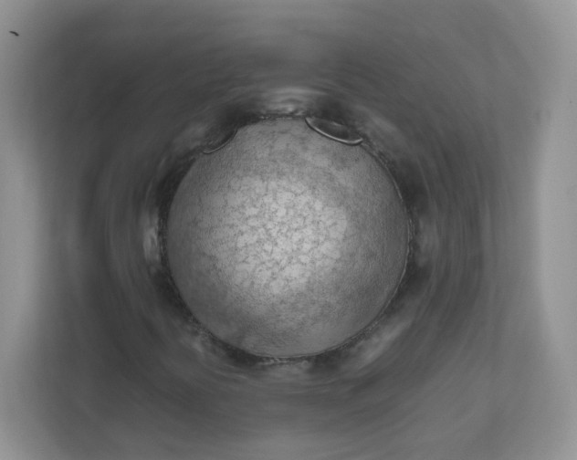 X0000111601394200907301437