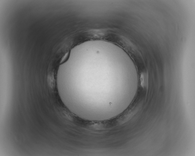 X0000111601395200907301437