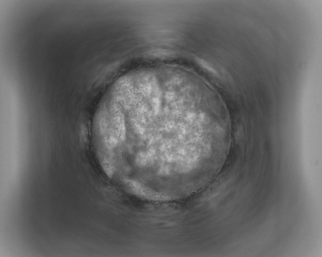X0000111601397200907301437