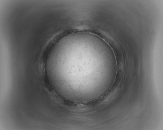 X0000111601398200907301437