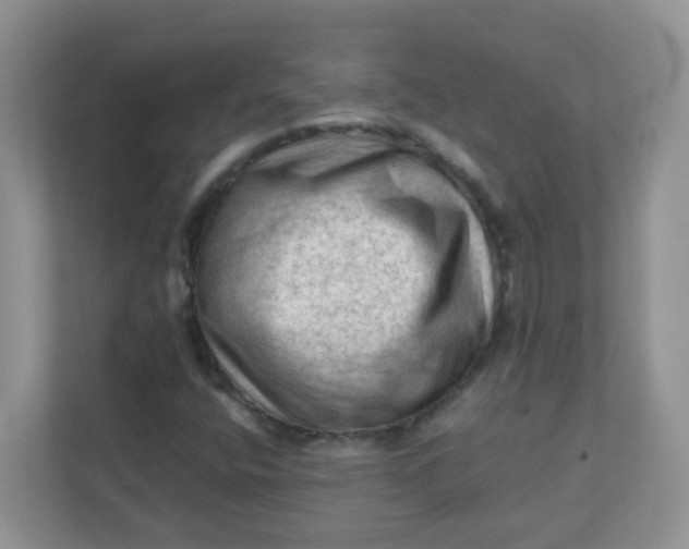 X0000111601400200907301437