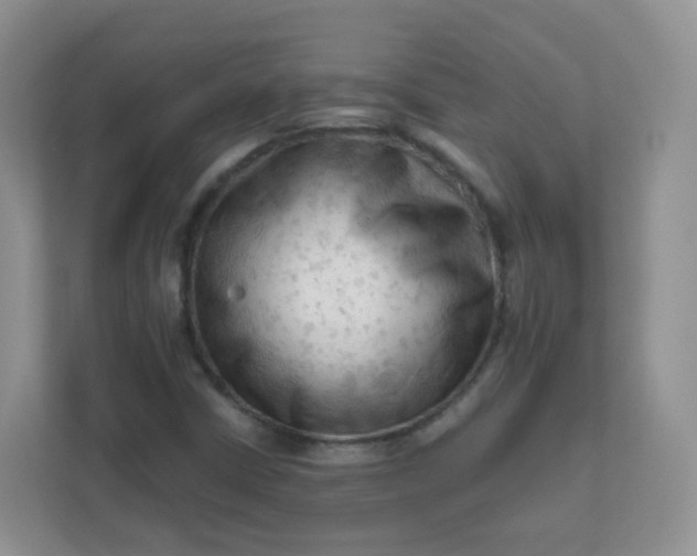 X0000111601402200907301437