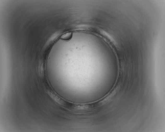 X0000111601403200907301437