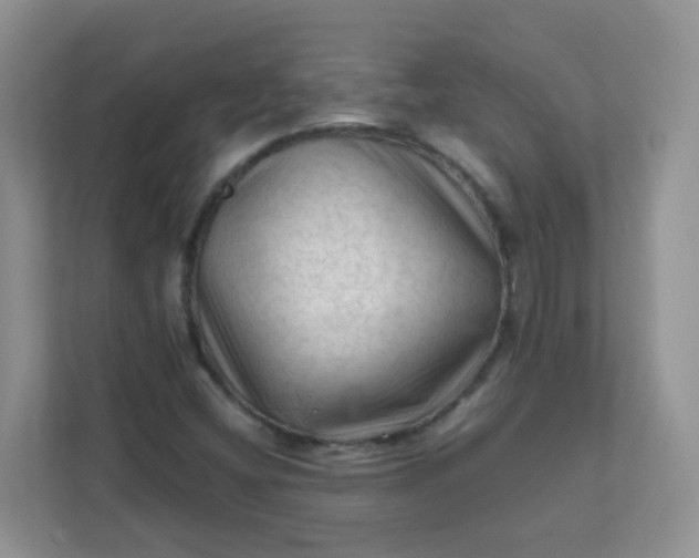 X0000111601404200907301437