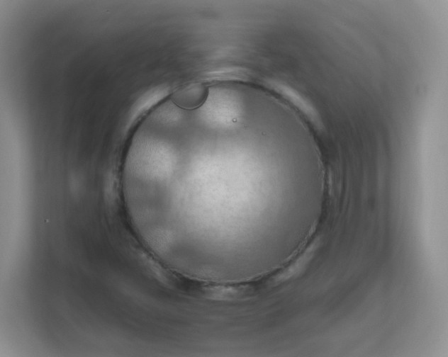X0000111601405200907301437